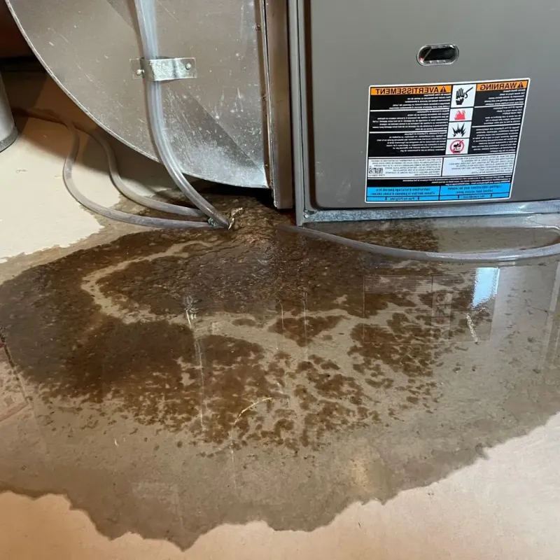 Pipe Burst and Leak Restoration in Hancock County, GA