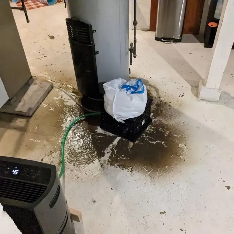 Sewage Backup Cleanup Service in Hancock County, GA